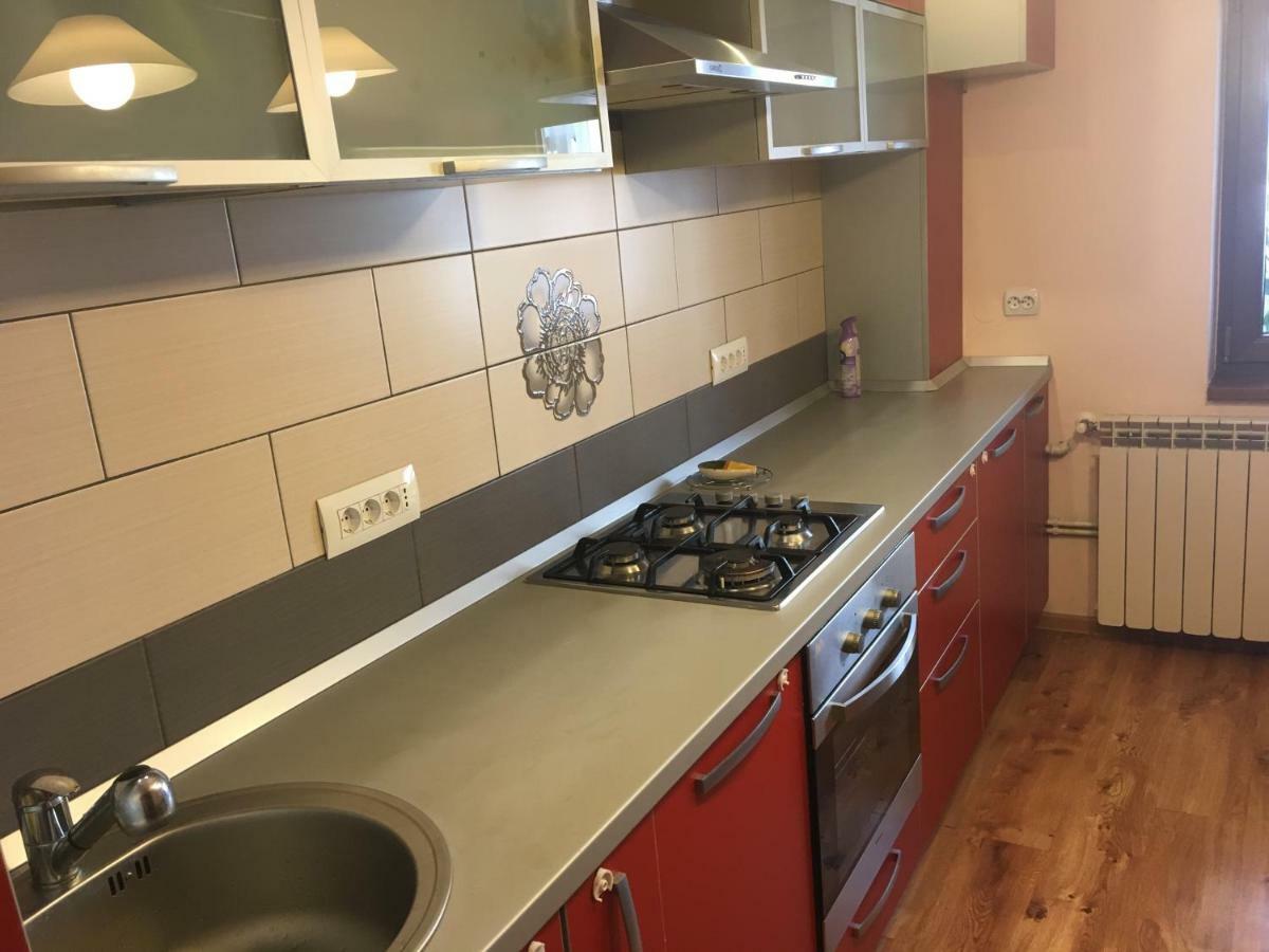 Apartament Antonia Apartment Tirgu Ocna Bagian luar foto