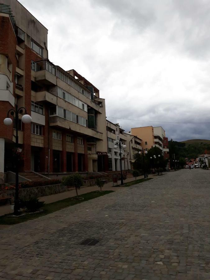Apartament Antonia Apartment Tirgu Ocna Bagian luar foto