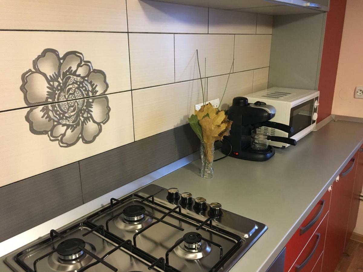 Apartament Antonia Apartment Tirgu Ocna Bagian luar foto